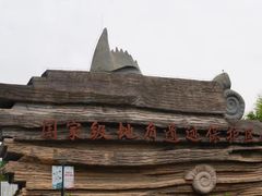 -金钉子远古世界景区