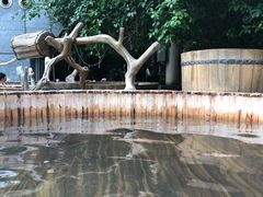 -龙达温泉生态城