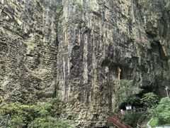 -鹿院坪生态旅游景区