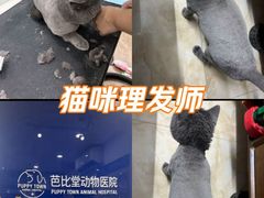 -芭比堂动物医院(广州爱宠下渡路分院)