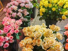 -循礼门鲜花花市(武汉循礼门店)