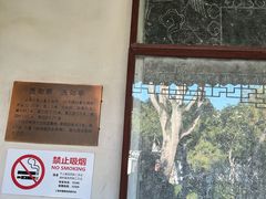 -秋霞圃