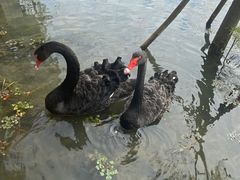 -昆山城市生态森林公园