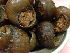 iphone_upload_pic-春餐厅