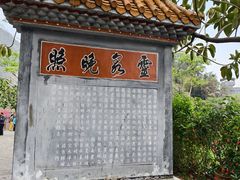 -靖西鹅泉风景区