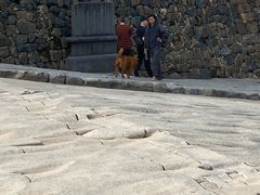 -渔梁坝