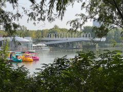 -大兴滨河森林公园