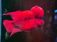 -青岛海底世界-水族馆