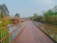 -白鹭湾湿地公园