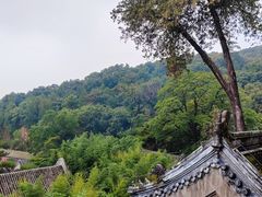 -潭柘寺景区
