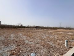 -永定河休闲森林公园