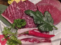 -道乐烧肉酒馆