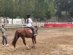 -北京群众马术培训基地