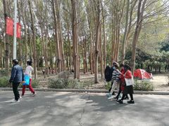 -丁香湖公园
