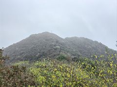 -杭州半山国家森林公园