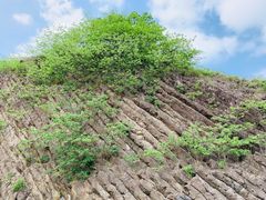 -六合国家地质公园桂子山景区