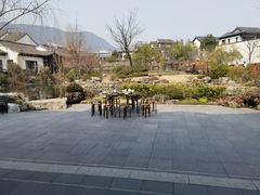 -春色如许·茶食餐厅(桃李春风店)