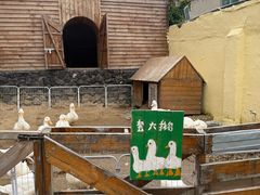 -HERRE·FARM 赫尔露营农场·团建聚会包场