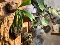 -如果·追梦手工皮具DIY教学店(田子坊店)