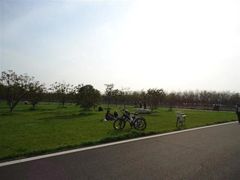-艾溪湖湿地公园