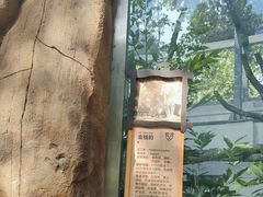 -成都动物园