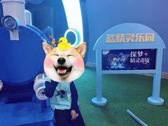 -蓝精灵乐园·世茂精灵之城主题乐园