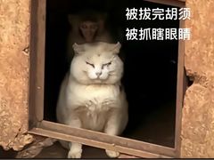 -昆明动物园