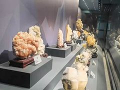 -湖南省地质博物馆