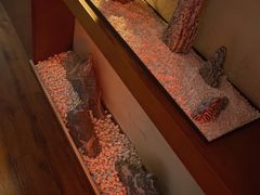 -端艾堂·SPA·艾灸(棕榈泉013店)