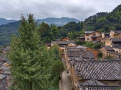 -杨家堂村