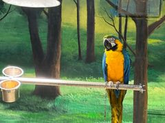 -绿色星球动物主题公园
