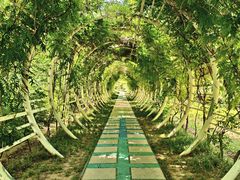 -郑州植物园