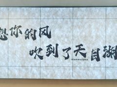 -天目湖山水园