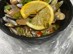 -胖胖板凳面