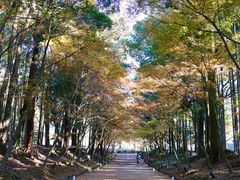 门面-醍醐寺