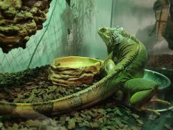 -Zoolung Zoolung动物主题公园(海信广场店)