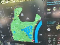 -墨尔本皇家植物园