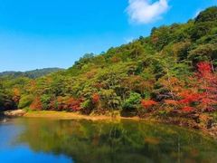 -广州市石门国家森林公园