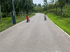 -东郊湿地公园