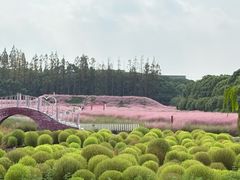 -嘉北郊野公园