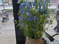 -囿面传统制面馆(中央路店)