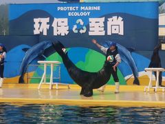 -秦皇岛乐岛海洋王国