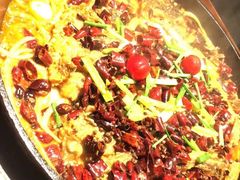 -老板恋上鱼(高新万达店)
