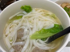 -MR鹅外