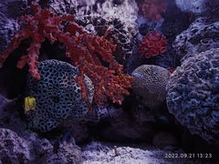 -上海长风海洋世界
