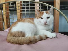 -上海潜殿潜水中心