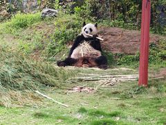 -杭州野生动物世界