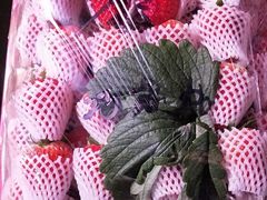 -菜园坝水果市场
