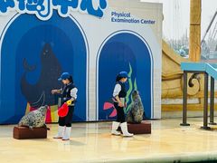 -秦皇岛乐岛海洋王国