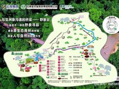 -野象谷景区